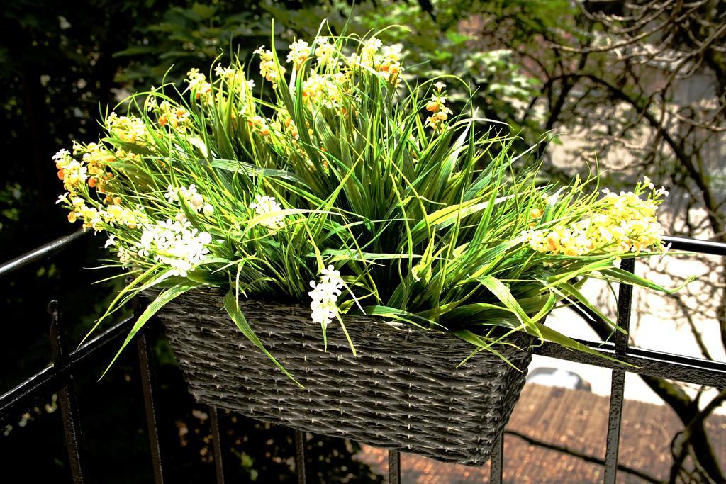 Flowers City Center Apartments Zagreb Oda fotoğraf